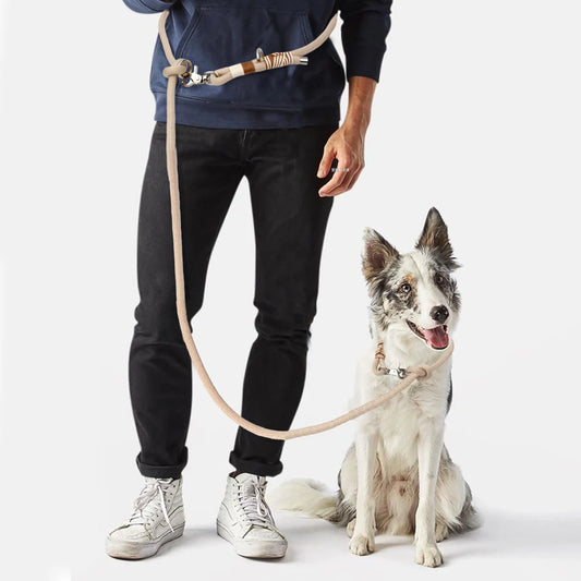 Robuste geflochtene Hundeleine / für mittelgroße & große Hunde