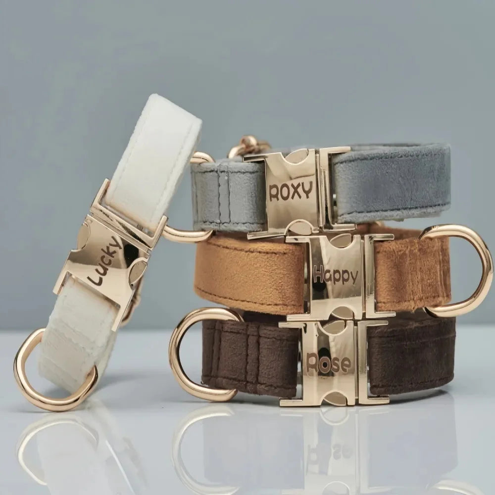 Samt Hundehalsband mit personalisierter Gravur & passender Leine