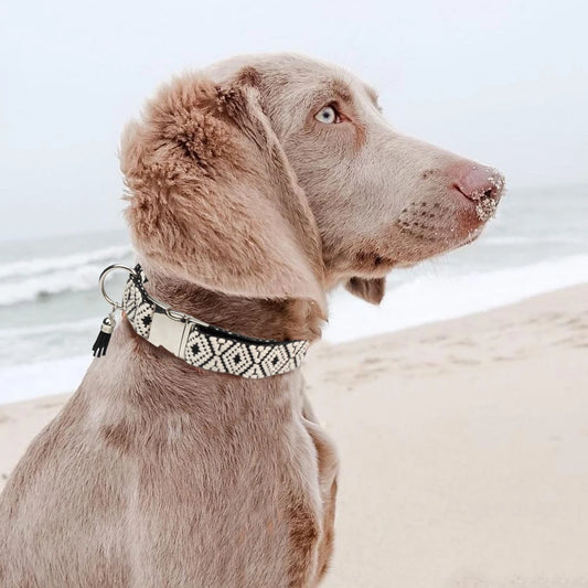 Boho Hundehalsband - Handgewebt & Verstellbar