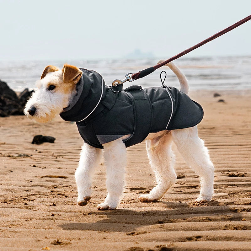 Warmer Hundemantel mit hohem Kragen - Wind & Wasserabweisend