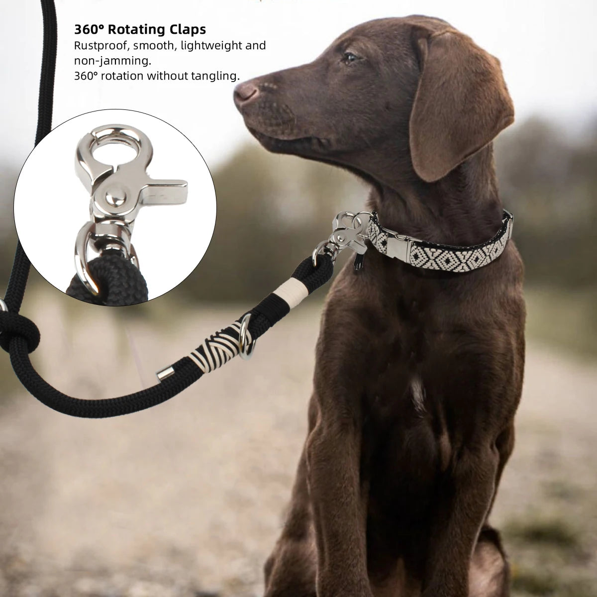 Robuste geflochtene Hundeleine / für mittelgroße & große Hunde