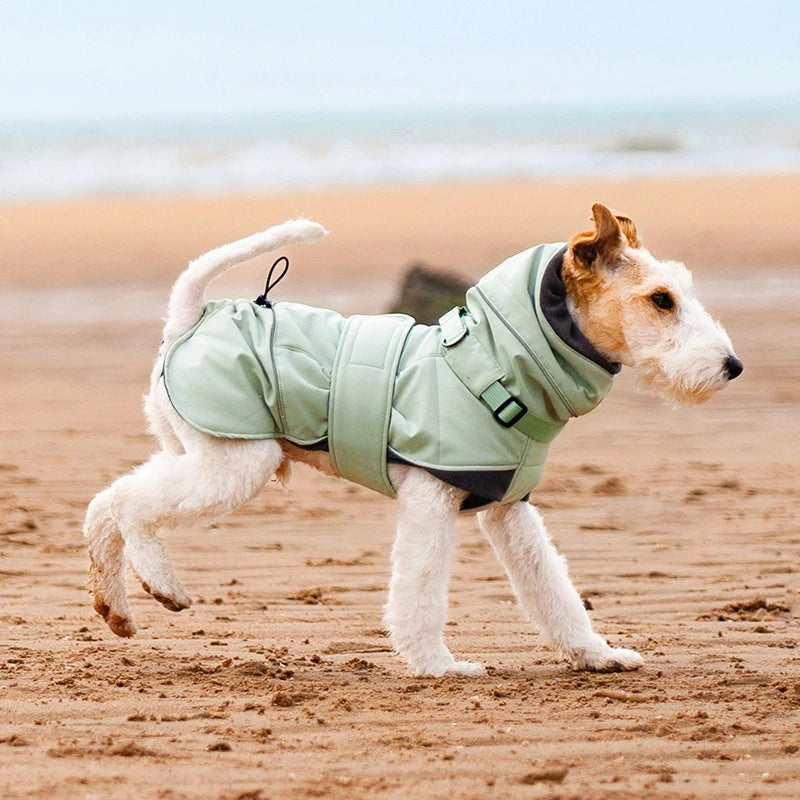 Warmer Hundemantel mit hohem Kragen - Wind & Wasserabweisend