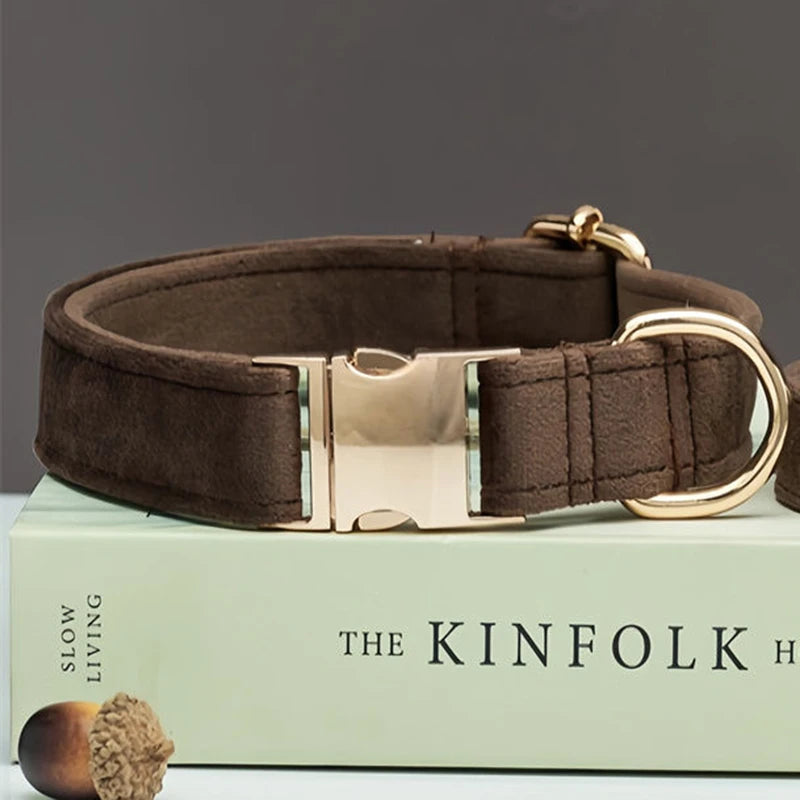 Samt Hundehalsband mit personalisierter Gravur & passender Leine
