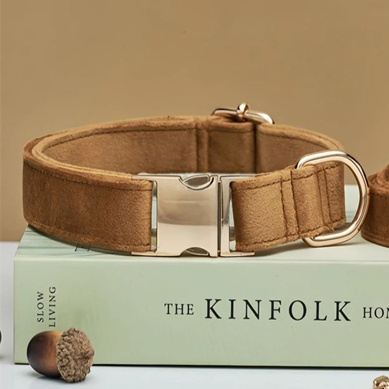 Samt Hundehalsband mit personalisierter Gravur & passender Leine