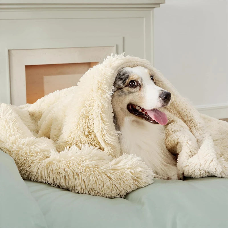 Wasserdichte Hundedecke - Sofa & Bett Schutzdecke