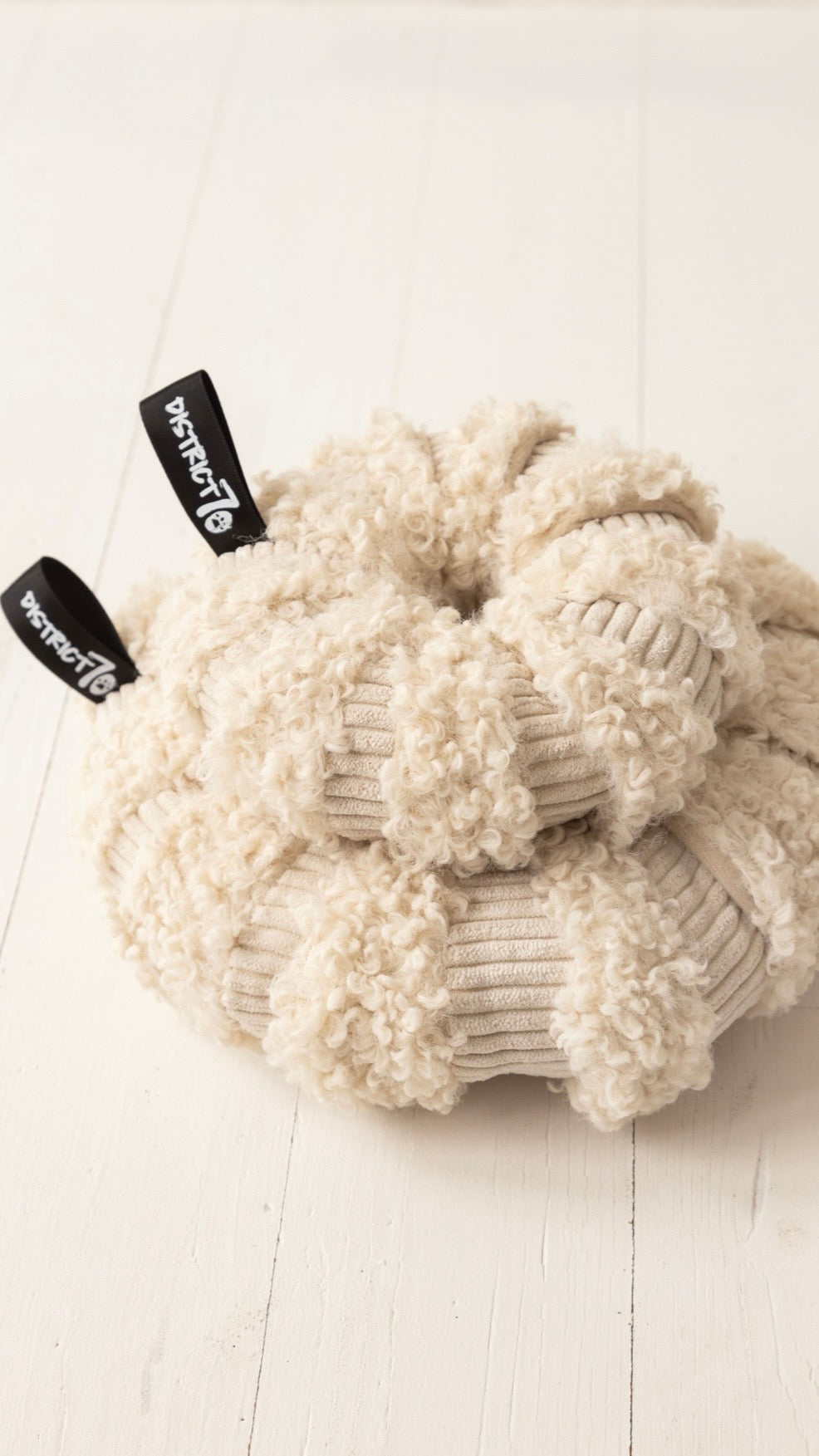 "Daisy" - Schnüffeldonut