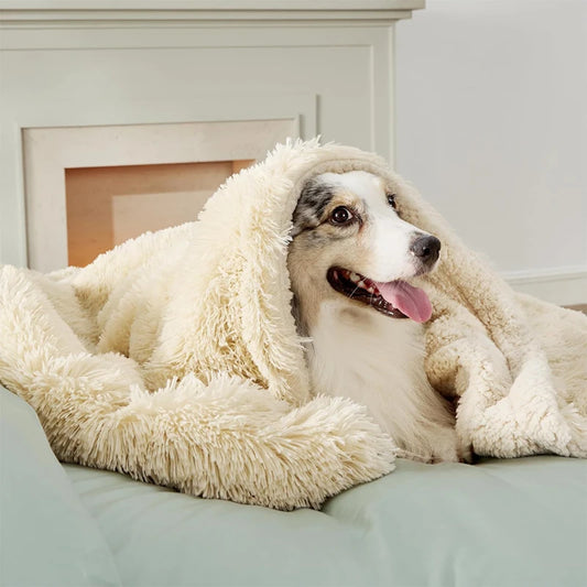 Wasserdichte Hundedecke - Sofa & Bett Schutzdecke